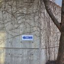 성공회대학교 | 토익스피킹 시험장 성공회대학교 후기(애교쟁이 고양이있음)