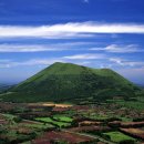 제주로와 이미지