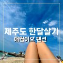 애월이오 | [제주도 한달살기 숙소 추천] 곽지해수욕장 바로앞 애월이오 펜션 / 애월하나로마트 /애월카페거리 후기