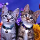 딱한잔만더 이미지