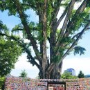 강가에 작은식당 이미지