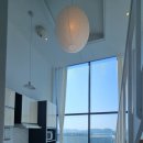 마레모어 이미지