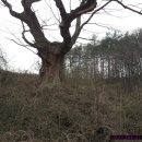 정곡경로당 이미지