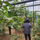 길자농장 이미지