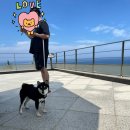 대동2목장 이미지