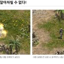 다엘안 이미지