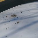 초읍동-15 이미지