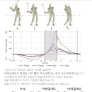 퍼온글=골프스윙시 각부의 움직임-TGM 이미지