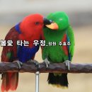 현대시선 밴드 4월의 선정시_봄愛 타는 우정_정원 주효주_낭송 김미현_편집 윤기영 이미지