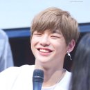 어화댕댕 | 후기만 봤는데도 광대가 안내려오는 강다니엘 복면가왕 후기