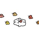 일곡우리약국 이미지