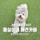 몽실이네 | 태화산 근처 강아지랑 가볼만한 곳 경기광주 애견운동장 몽실이네