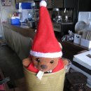 중앙중학교 이미지