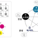 1:1 명리학 사주팔자 무료 상담 이미지