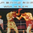 성남권투 이미지