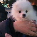 CoCo멍(코코멍) 이미지