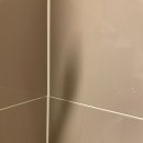 달맞이유림노르웨이숲 이미지