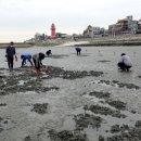 오이도어촌체험휴양마을 이미지