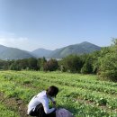 슬로우팜체험펜션 이미지