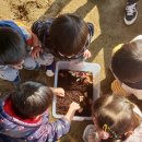 홍익교육어린이집 이미지