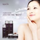 (주)에버코스
