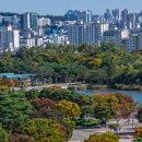 하늘공원 억새축제장 가는길에 이미지