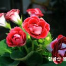 은혜로운 사람의 10가지 특징 이미지