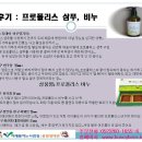 꿀벌생태관 Daum카페
