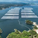 PT 태양광발전소 이미지