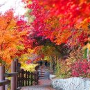 철암관광안내소 이미지