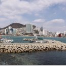 암남공원 이미지