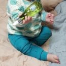 송이침구