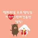 평화의댐 오토캠핑장 이미지