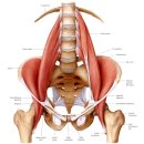 core strengthening 전문 번역(관련 그림 포함) - 정리중 이미지