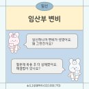 중동019 | [약사가 알려주는] 임산부 변비 원인 및 해결법