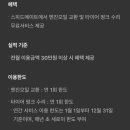 스피드메이트동김해점 네이버블로그