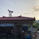 오정상회
