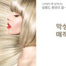 돼지꼬리미용실 이미지