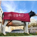 성우축사 이미지