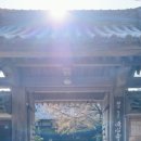 성복사 이미지