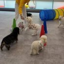 마인드몽 유치원 이미지