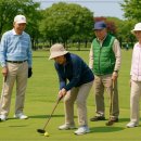 파크골프 이미지