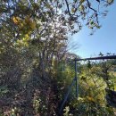 태봉목장 이미지