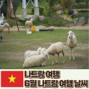 온천약국 | 6월 나트랑 날씨 우기 옷차림 반팔 준비물 머드온천 추천