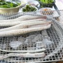 한강민물 이미지