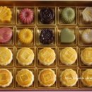 엘리스의 정원 이미지