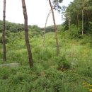 남면농장 이미지