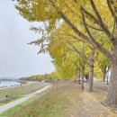 강변에서 이미지