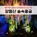 장령산자연휴양림 편의시설 | 대전 근교 충북 옥천 여름 휴가지 추천 아이와 가볼만한곳 | 장령산 자연휴양림 숲속동굴