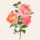 선덕한의원 네이버블로그